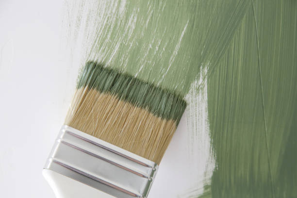 Greentown, IN Mold Removal Company